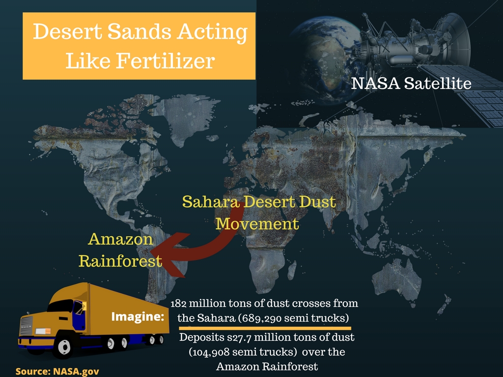 Sahara Sands Fertilizing Amazon Rainforest – Blog
