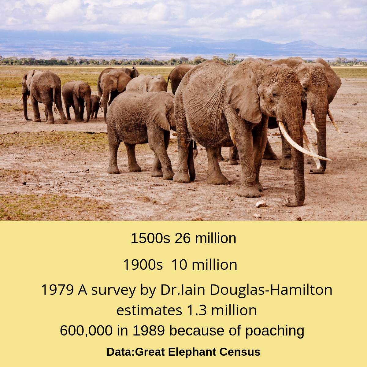 numbers on reduction of elephants