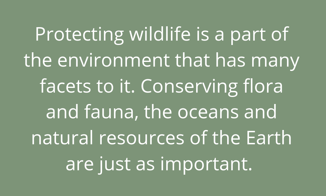 words on conservation