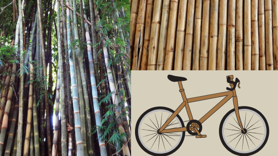 bamboo bike